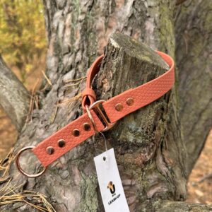 Obroża półzaciskowa HEXA – Pumpkin