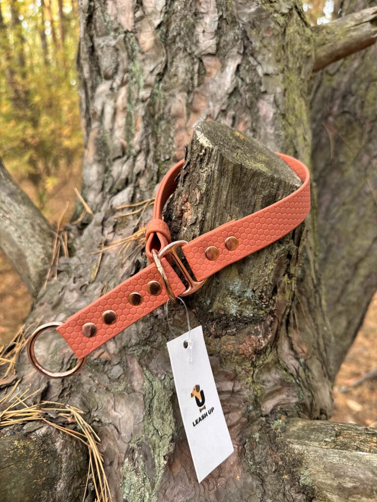 Obroża półzaciskowa HEXA – Pumpkin