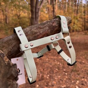 Szelki Guard HEXA – Mint