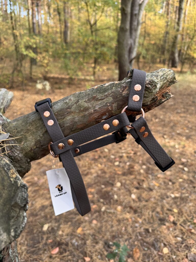 Szelki Guard HEXA – Dark Chocolate