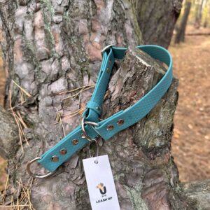 Obroża półzaciskowa HEXA – Forest