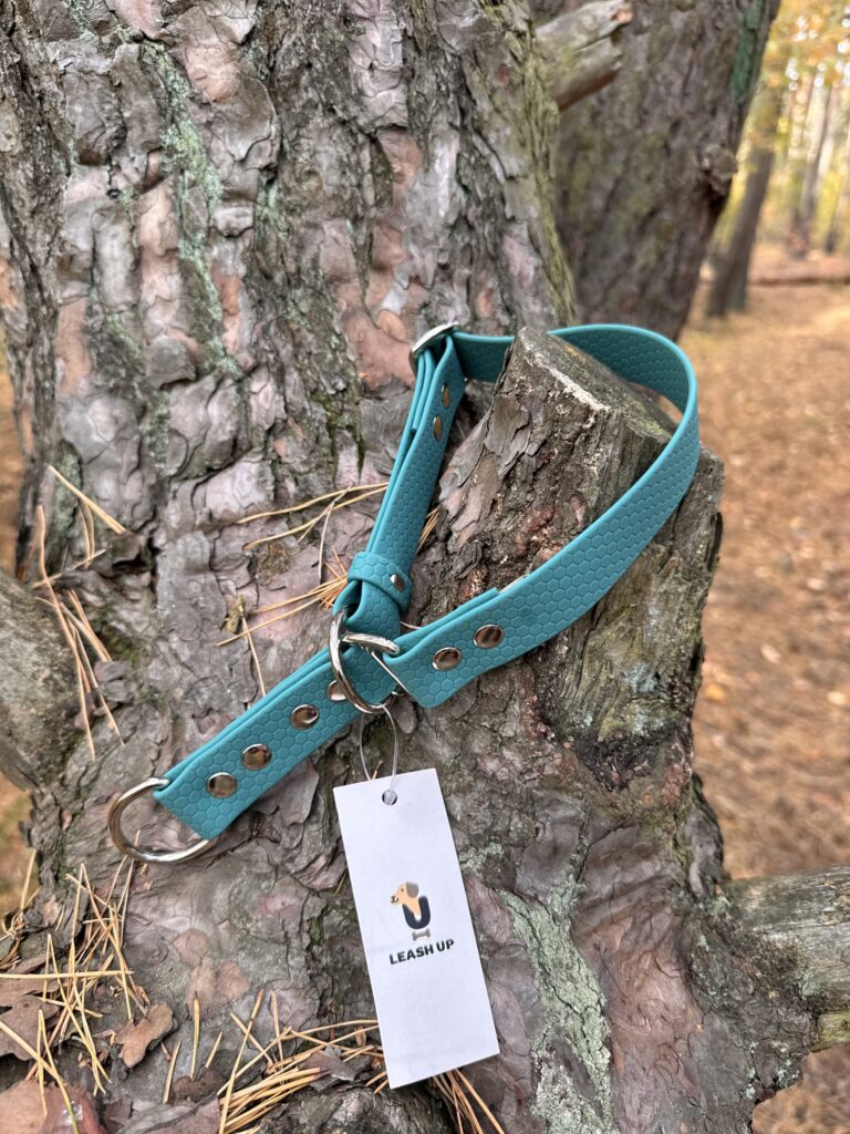 Obroża półzaciskowa HEXA – Forest