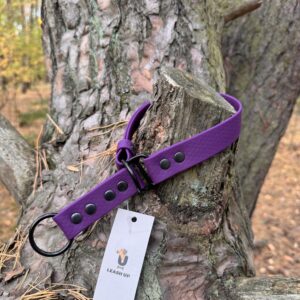 Obroża półzaciskowa HEXA – Plum