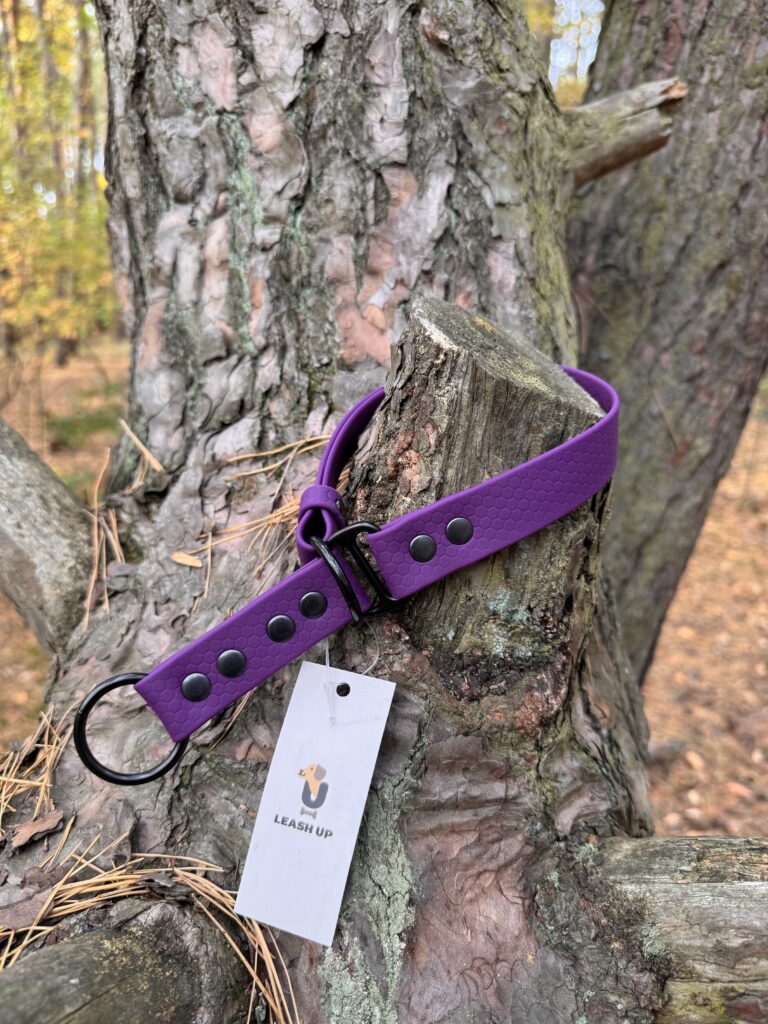 Obroża półzaciskowa HEXA – Plum