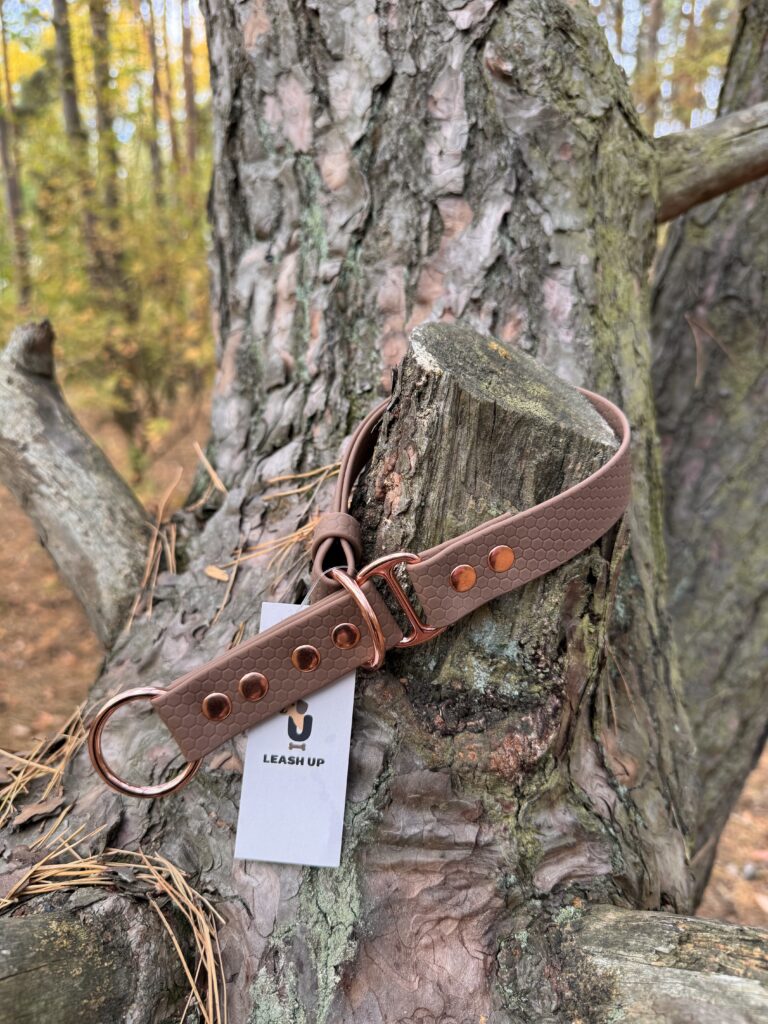 Obroża półzaciskowa HEXA – Brownie
