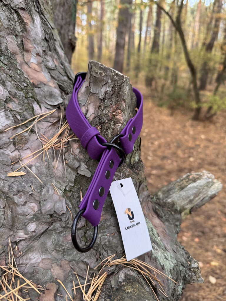 Obroża półzaciskowa HEXA – Plum