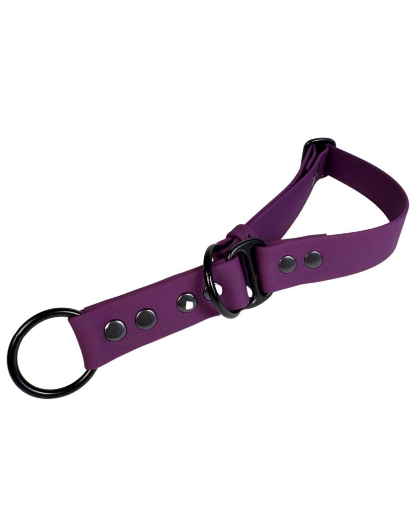 Obroża półzaciskowa HEXA – Plum