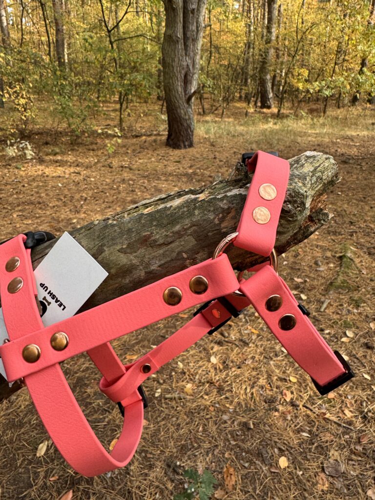 Szelki Guard BioThane® – Watermelon