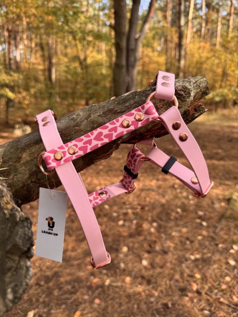 Szelki Guard BioThane® Be My Valentine