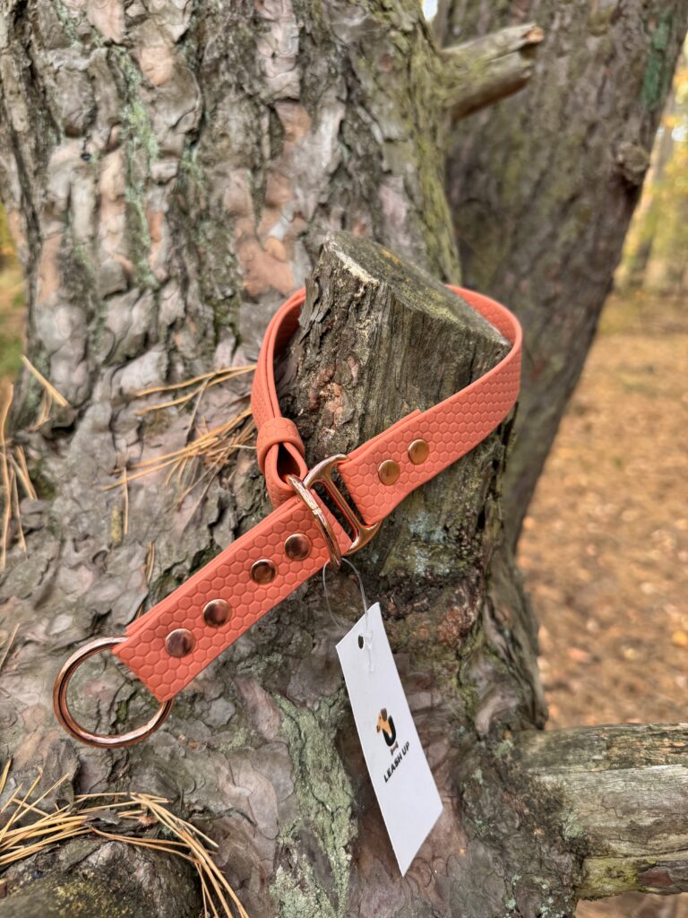 Obroża półzaciskowa HEXA – Pumpkin