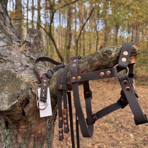 Szelki Guard HEXA – Dark Chocolate