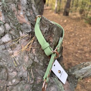 Obroża półzaciskowa HEXA – Matcha