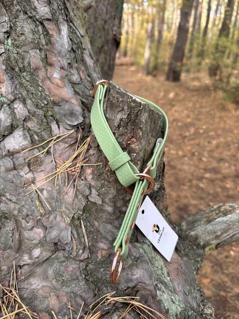 Obroża półzaciskowa HEXA – Matcha