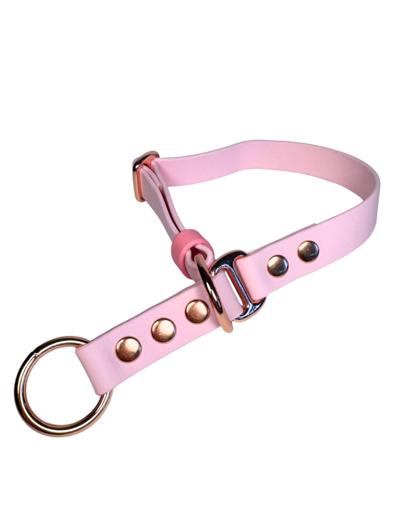 Obroża półzaciskowa BioThane® – Blush