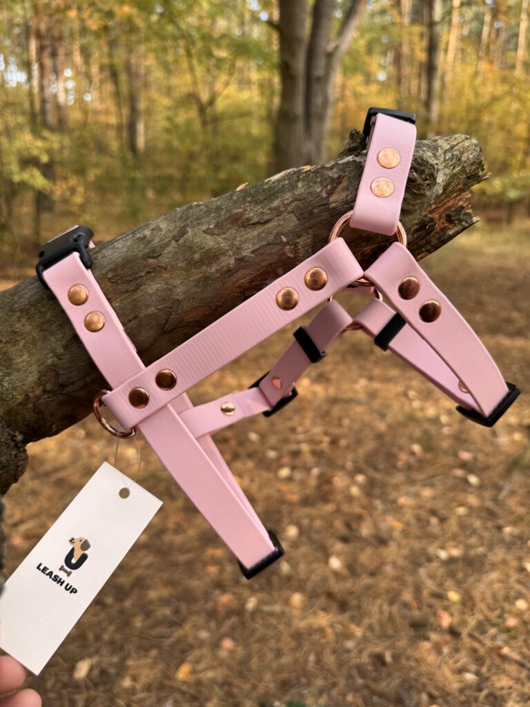 Szelki Guard BioThane® – Blush