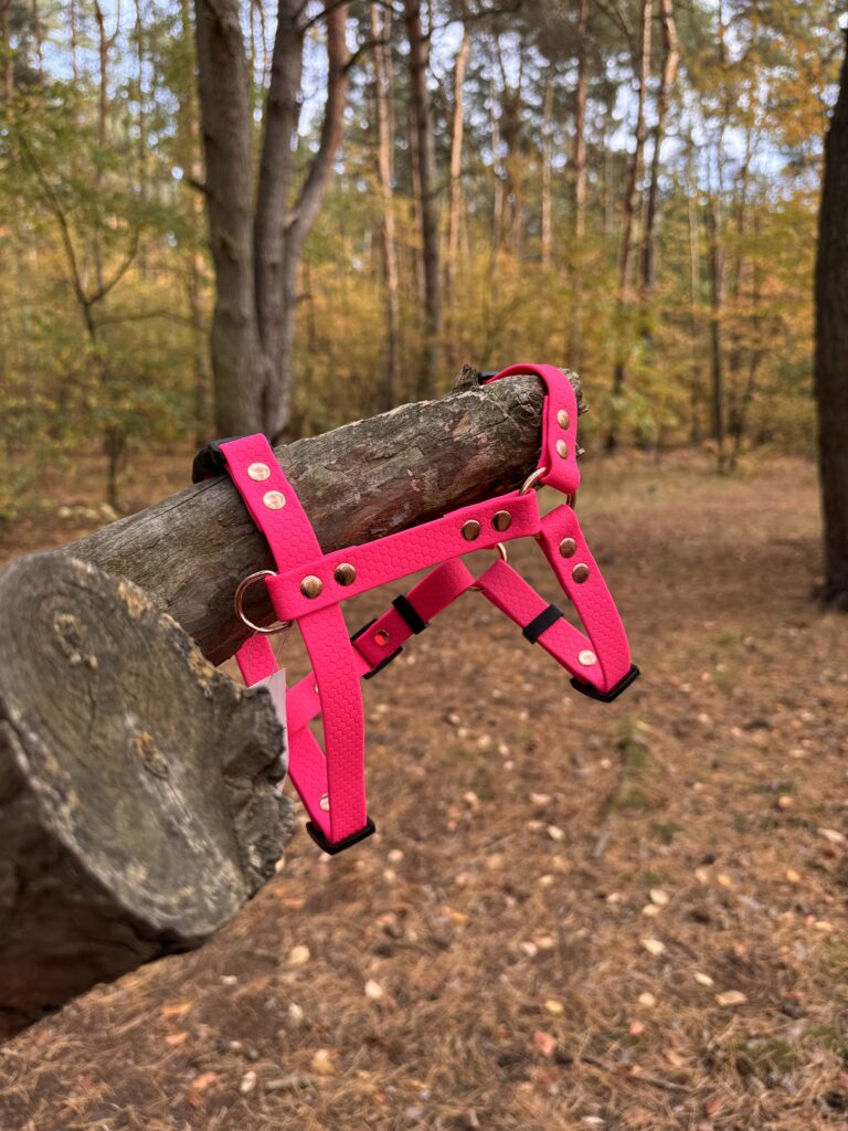 Szelki Guard HEXA – Flamingo