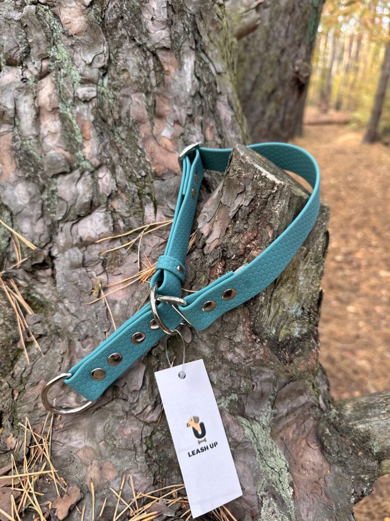 Obroża półzaciskowa HEXA – Forest