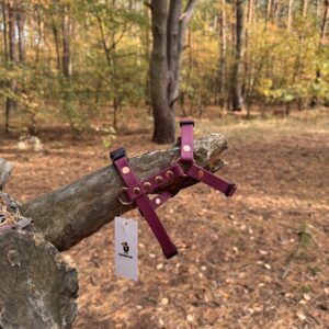 Szelki Guard BioThane® – Red Wine