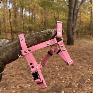 Szelki Guard BioThane® – Raspberry