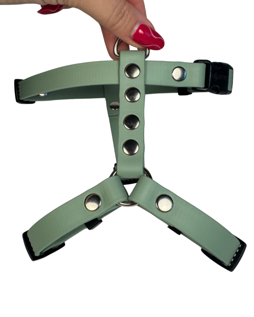 Szelki Guard BioThane® – Sage