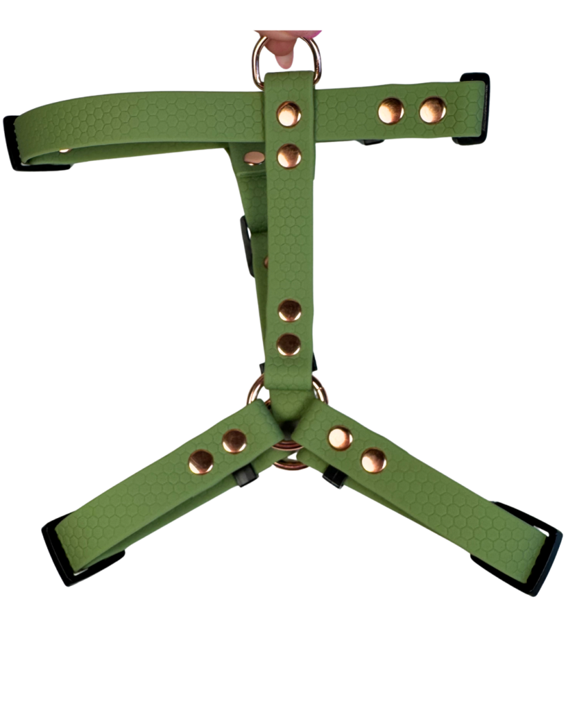Szelki Guard HEXA – Matcha