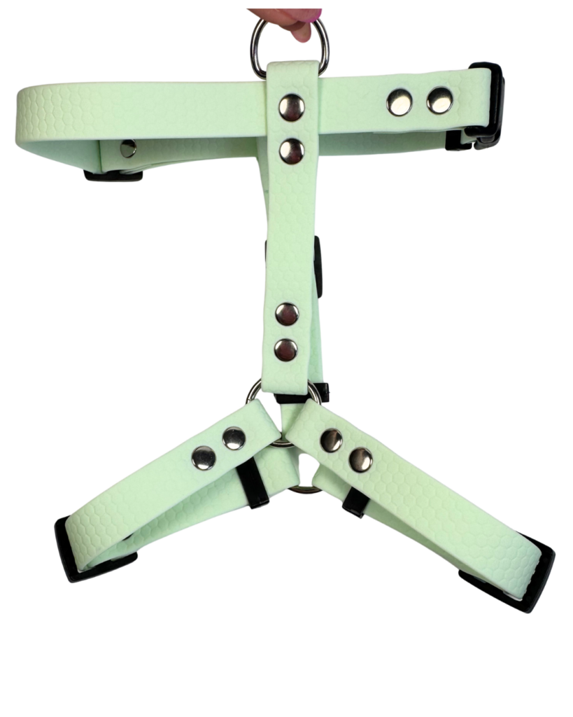 Szelki Guard HEXA – Mint