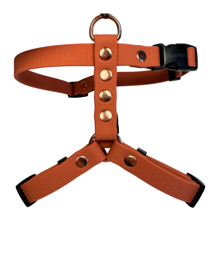 Szelki Guard HEXA – Pumpkin