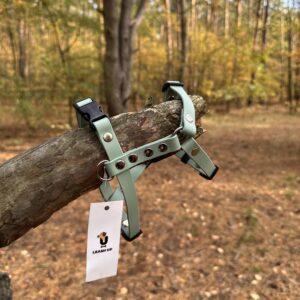 Szelki Guard BioThane® – Sage