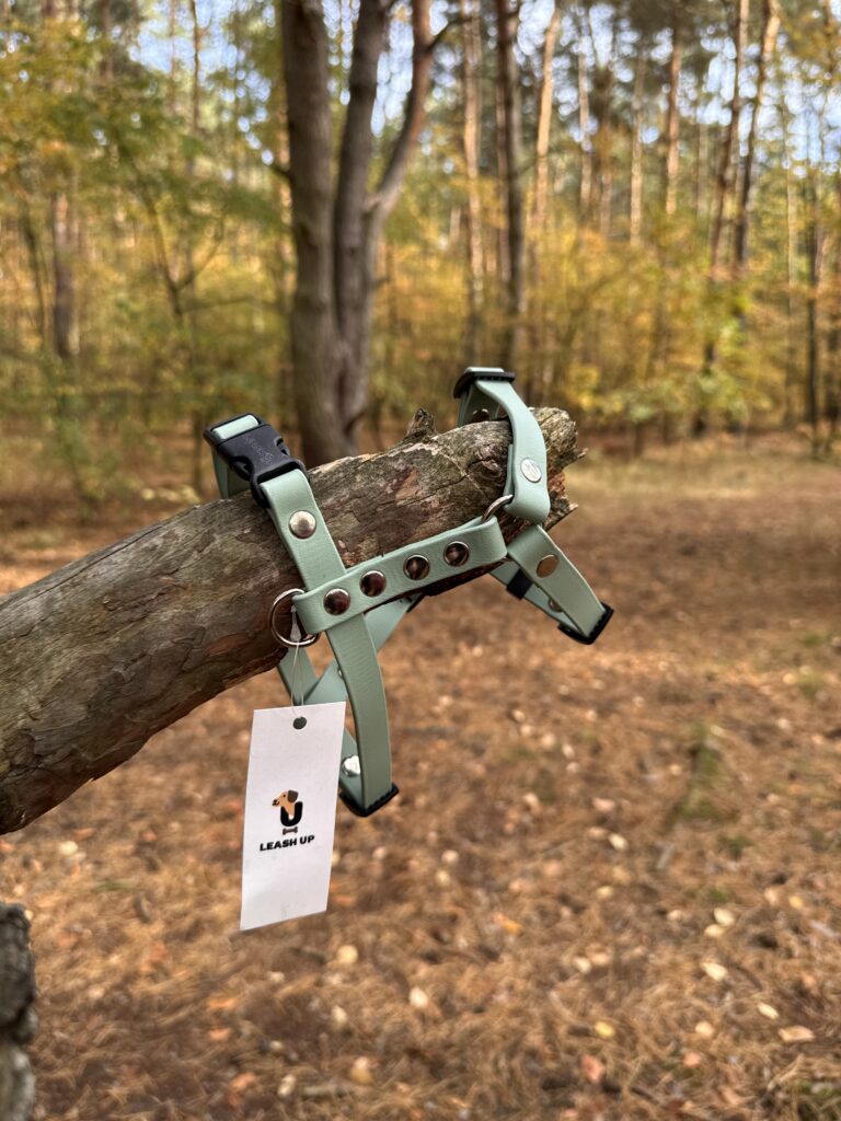 Szelki Guard BioThane® – Sage