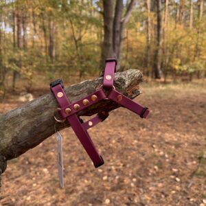 Szelki Guard BioThane® – Red Wine