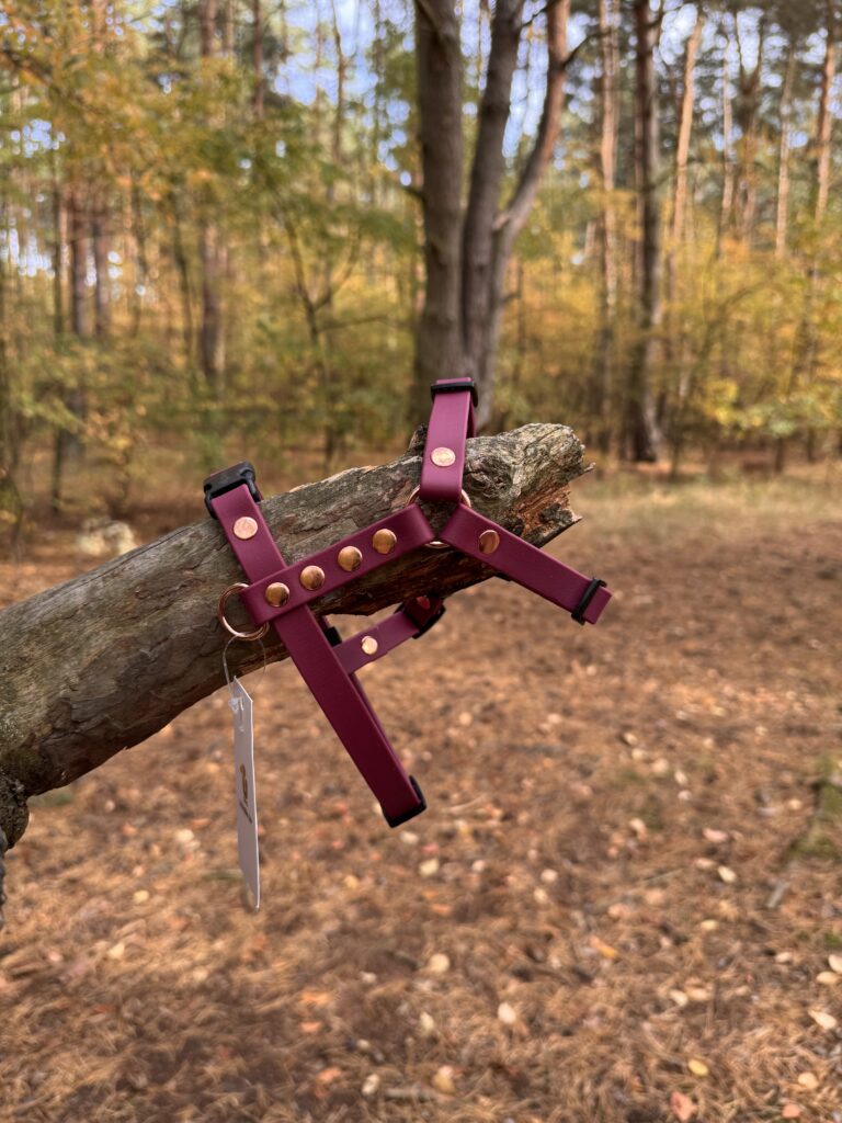 Szelki Guard BioThane® – Red Wine