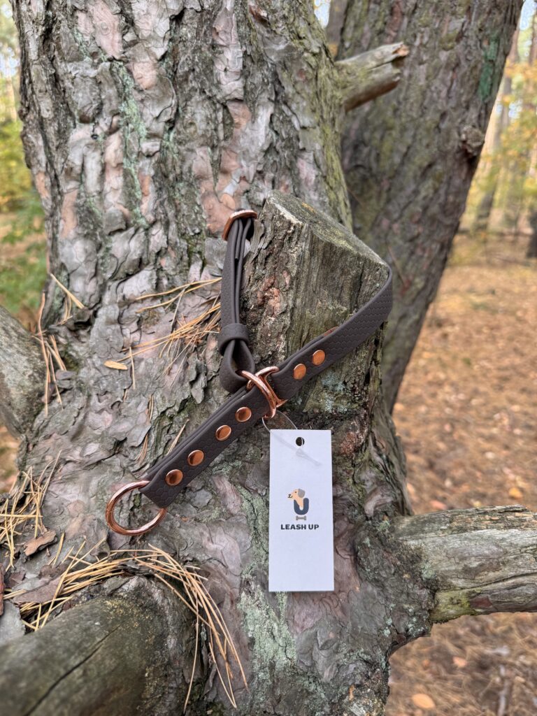 Obroża półzaciskowa HEXA – Dark Chocolate