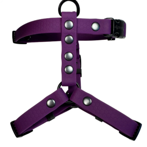 Szelki Guard HEXA – Plum