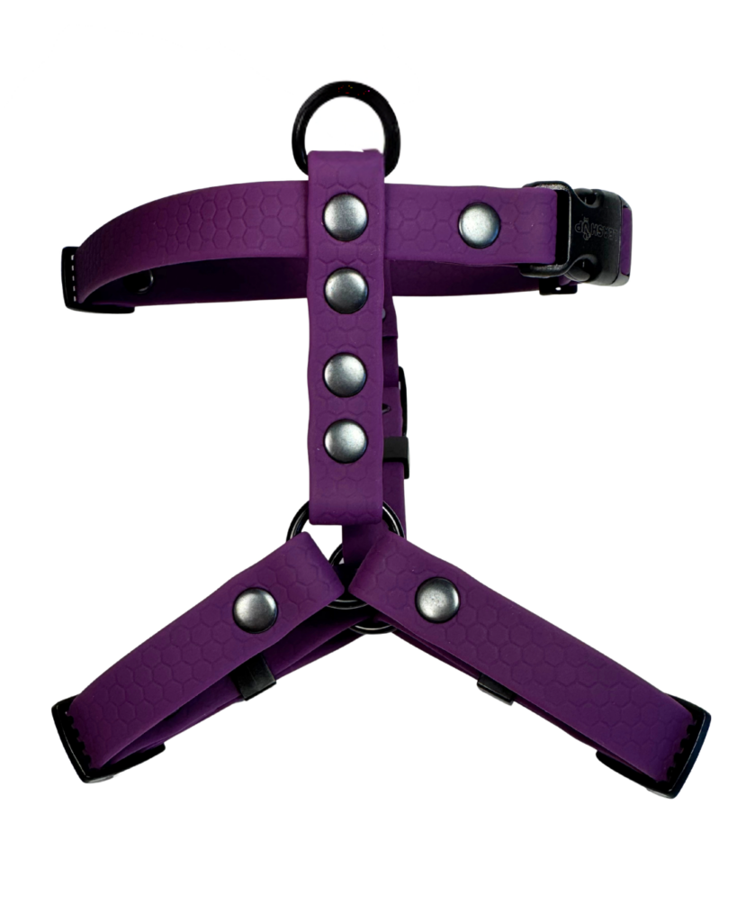 Szelki Guard HEXA – Plum
