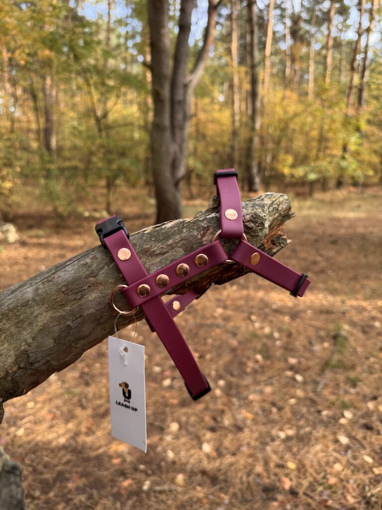 Szelki Guard BioThane® – Red Wine