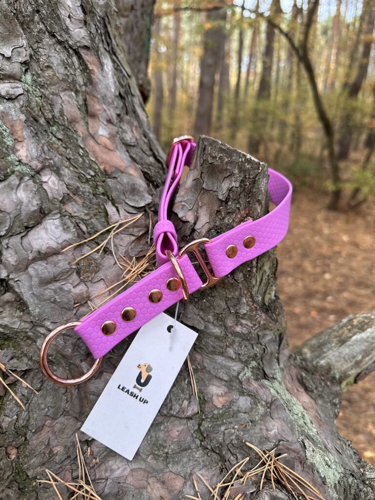 Obroża półzaciskowa HEXA – Lilac