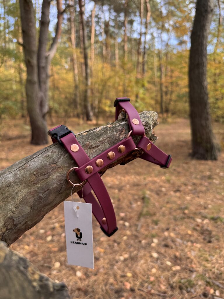 Szelki Guard BioThane® – Red Wine