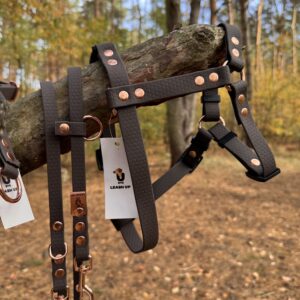 Szelki Guard HEXA – Dark Chocolate