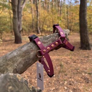 Szelki Guard BioThane® – Red Wine