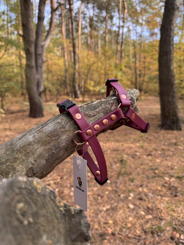 Szelki Guard BioThane® – Red Wine