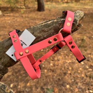 Szelki Guard BioThane® – Watermelon