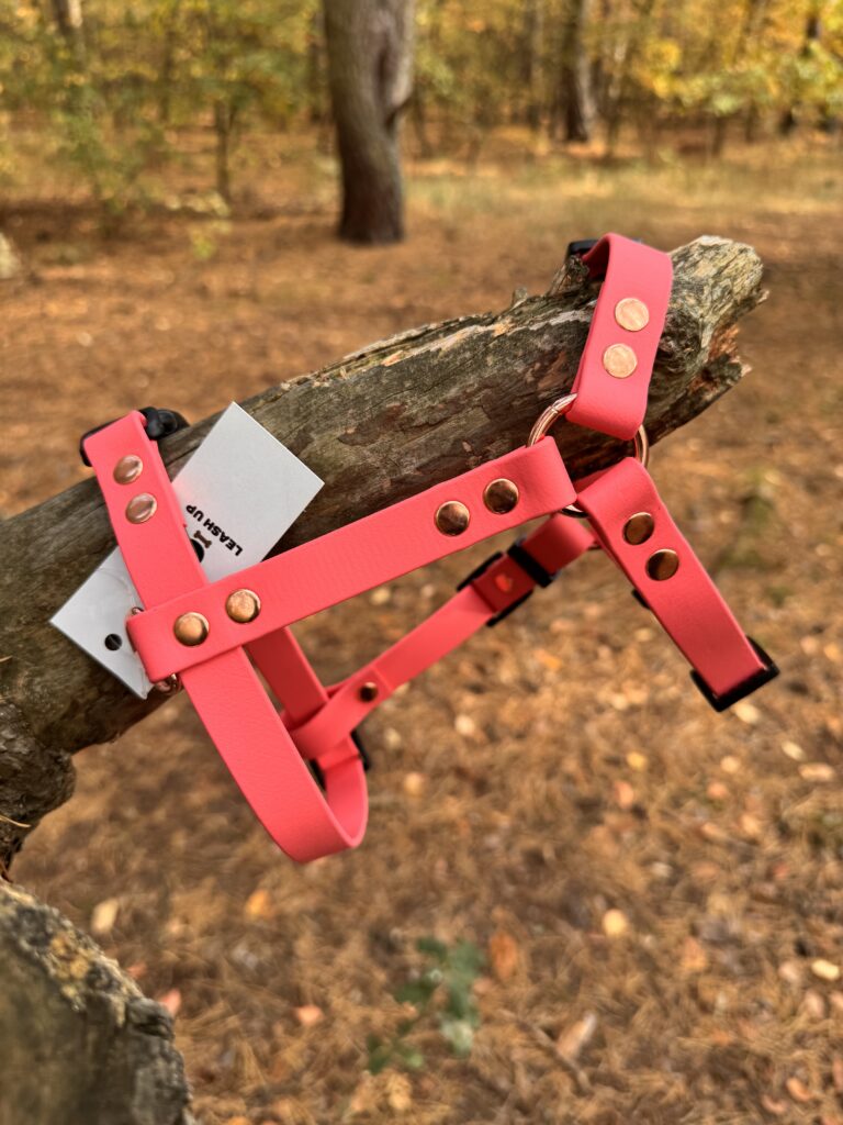 Szelki Guard BioThane® – Watermelon