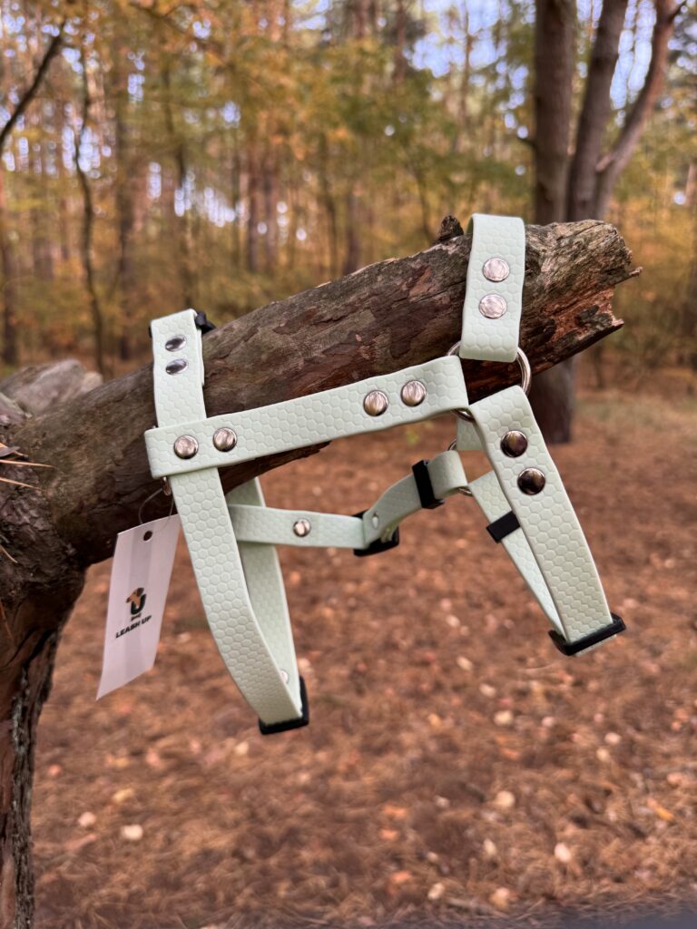 Szelki Guard HEXA – Mint