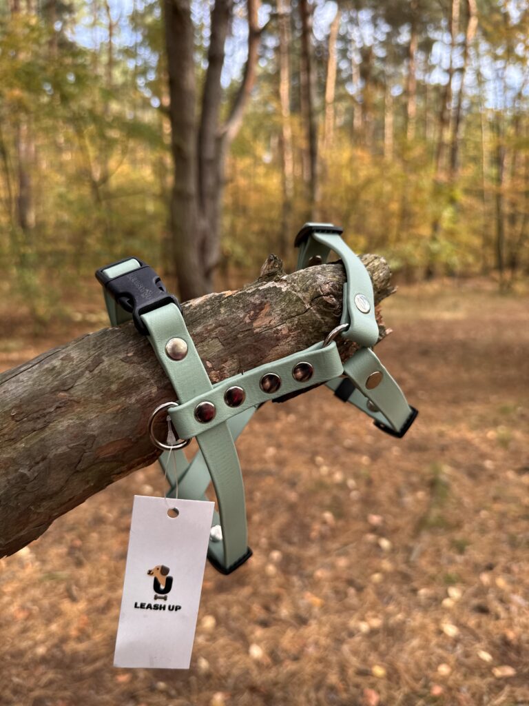 Szelki Guard BioThane® – Sage