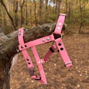 Szelki Guard BioThane® – Raspberry