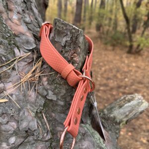 Obroża półzaciskowa HEXA – Pumpkin