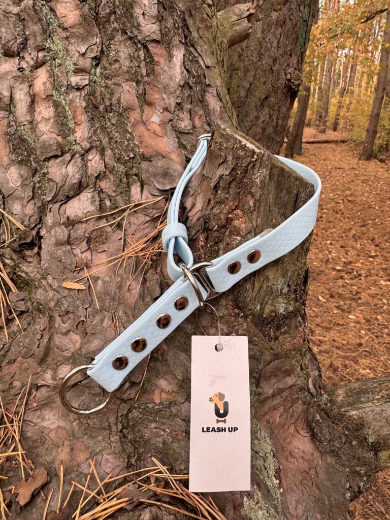 Obroża półzaciskowa HEXA – Baby Blue