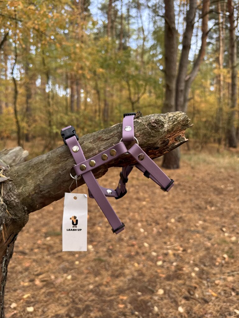 Szelki Guard BioThane® – Orchid