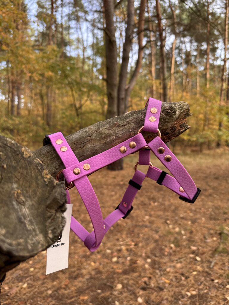 Szelki Guard HEXA – Lilac