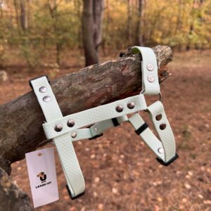 Szelki Guard HEXA – Mint